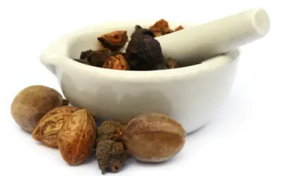 Triphala – Das ultimative Gesundheitselixier der Natur